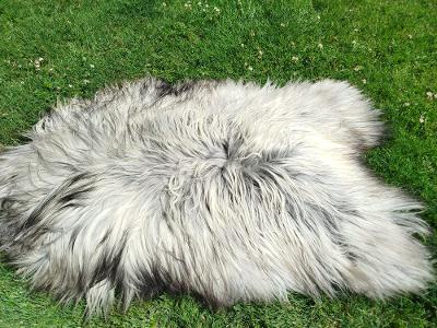 Fluffy Heidschnucke Sheepskins, Premium